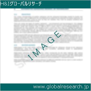 グローバルリサーチ調査レポートのイメージ